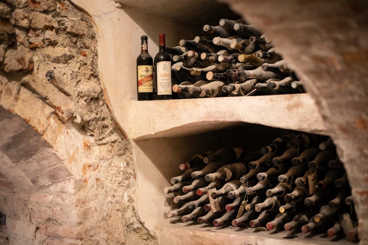 San Marzano Oliveto Villa Vinory - Tenuta Il Sogno מראה חיצוני תמונה