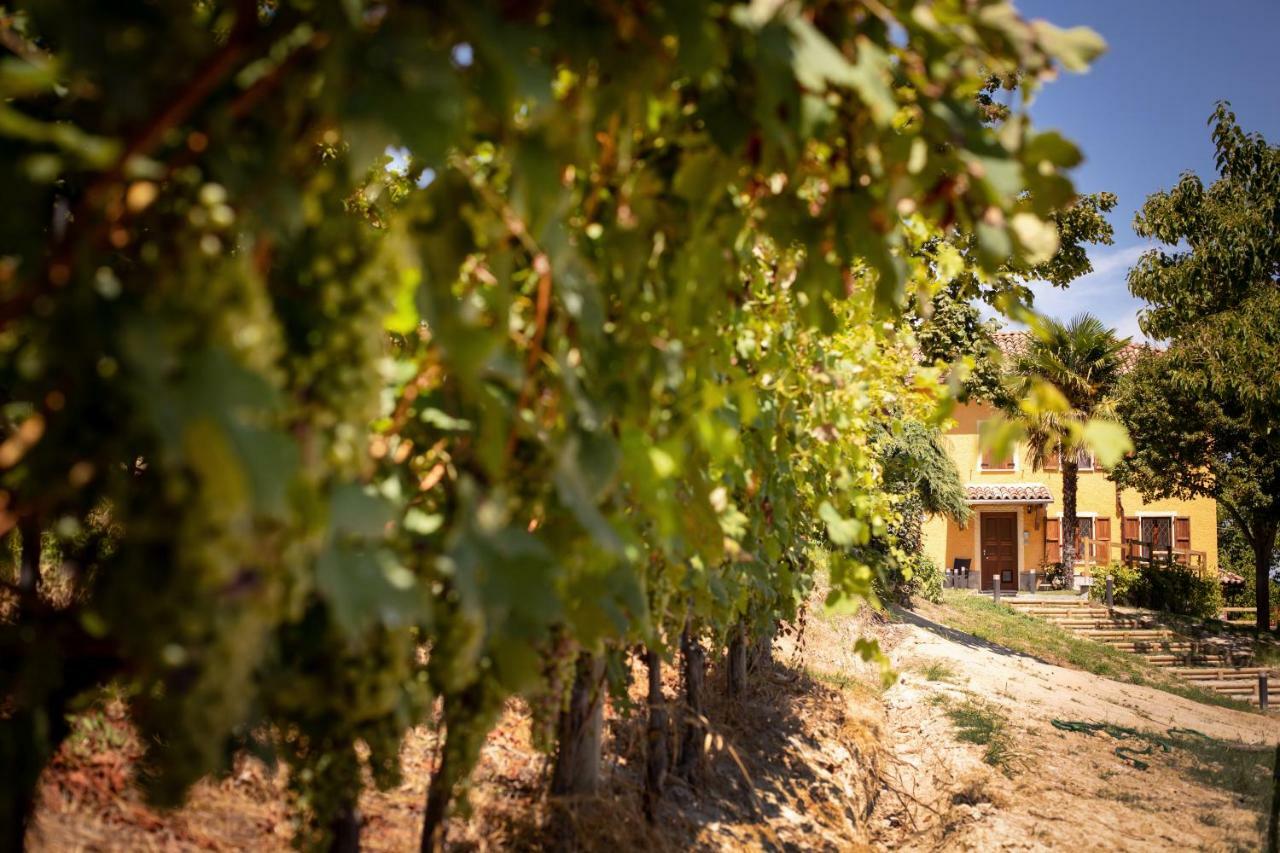 San Marzano Oliveto Villa Vinory - Tenuta Il Sogno מראה חיצוני תמונה